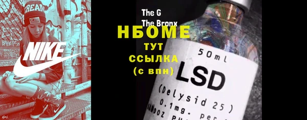 гашик Инсар