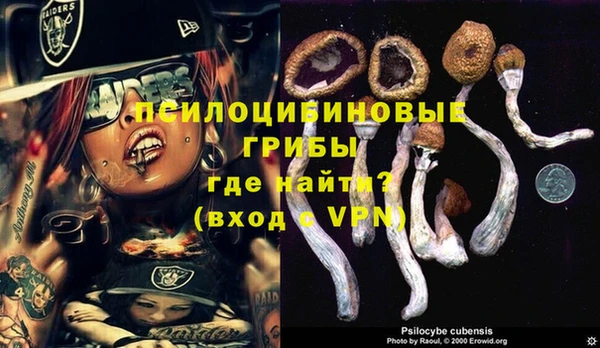 мдпв Инта