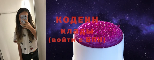 твердый Иннополис