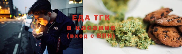 мдпв Инта