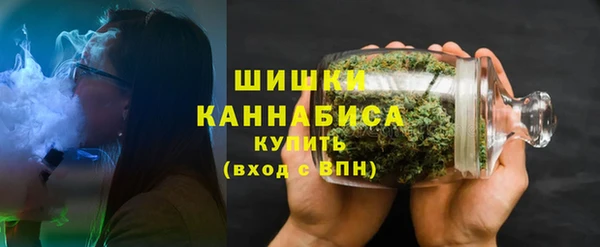 твердый Иннополис