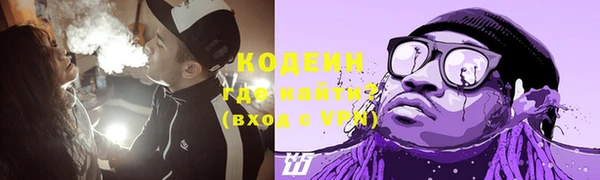 твердый Иннополис