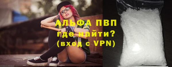 гашик Инсар