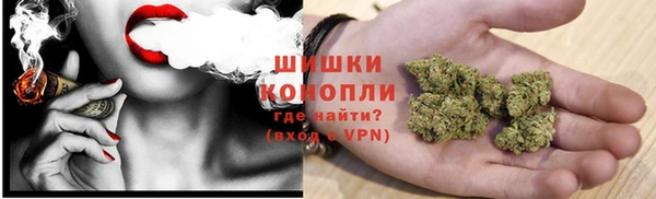 мдпв Инта