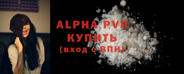 твердый Иннополис