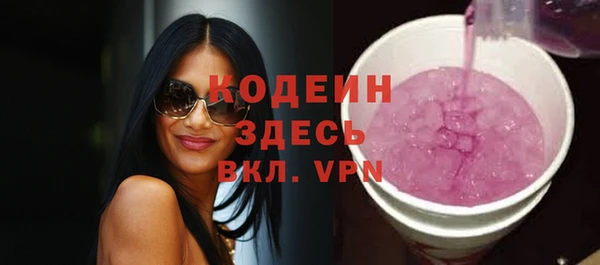 твердый Иннополис