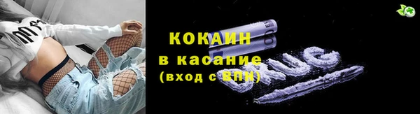 мдпв Инта