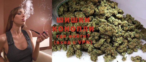 гашик Инсар