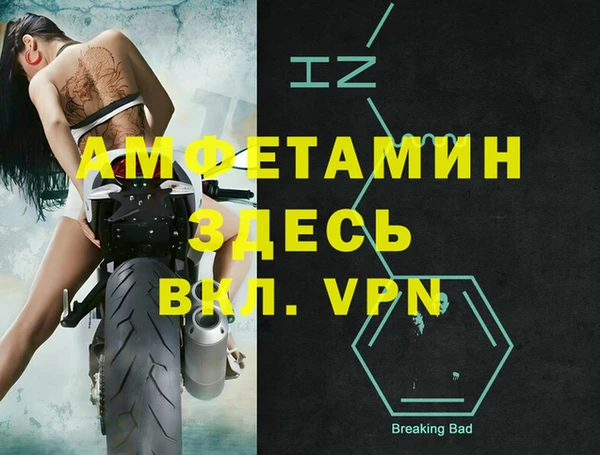 гашик Инсар