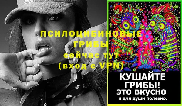 гашик Инсар