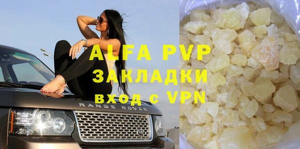гашик Инсар