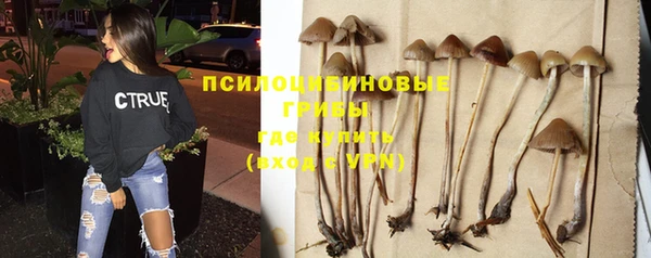гашик Инсар