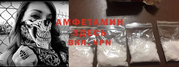 гашик Инсар