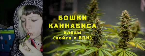 твердый Иннополис